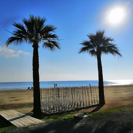 Ithaki Phinikoudes No. 102 Larnaca