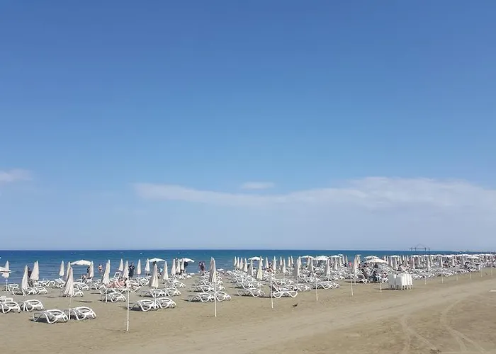 Ithaki Phinikoudes No. 102 * Lárnaca