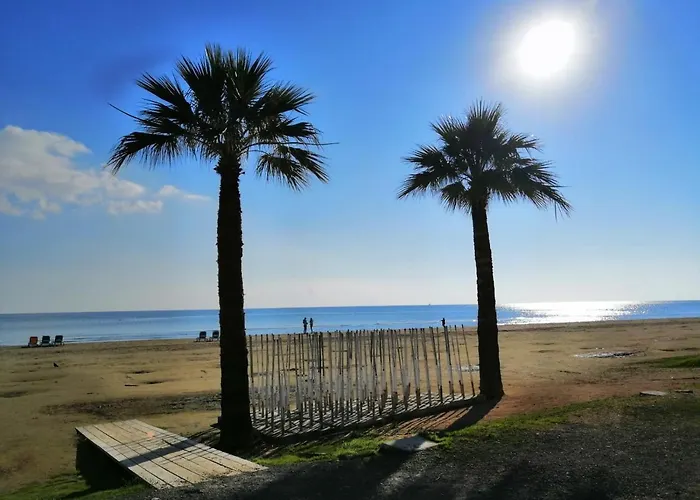 Ithaki Phinikoudes No. 102 Larnaca