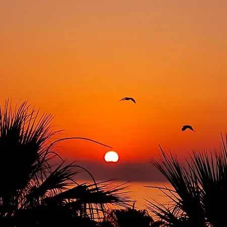 Διαμέρισμα Ithaki Phinikoudes No. 102 *