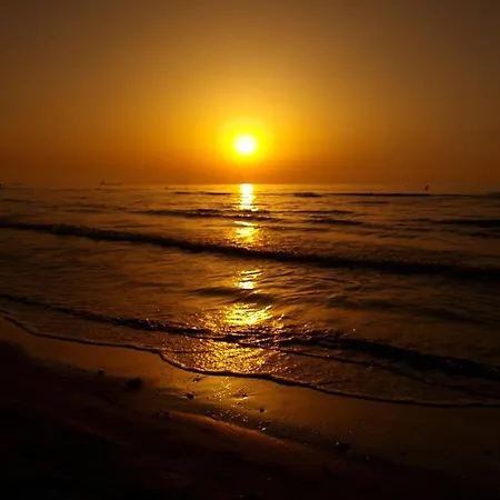 Διαμέρισμα Ithaki Phinikoudes No. 102 *