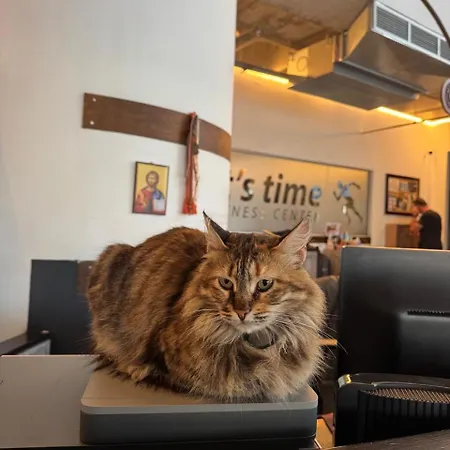 Ithaki Phinikoudes No. 102 Appartement