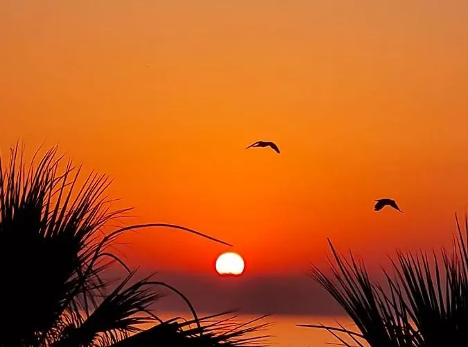 Appartement Ithaki Phinikoudes No. 102 *