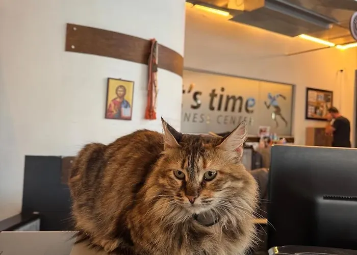 Ithaki Phinikoudes No. 102 Appartement